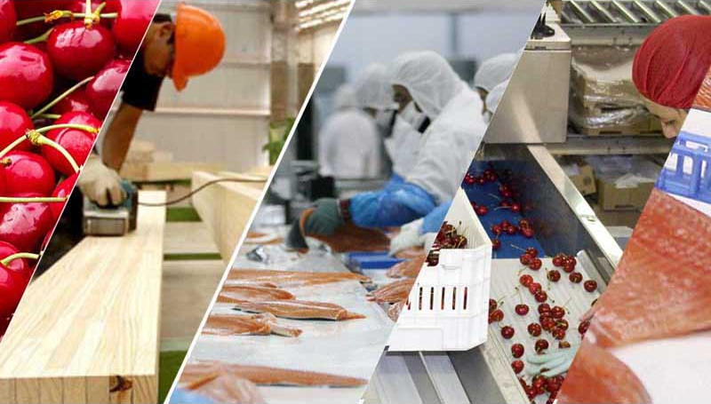 04-miniaturas-offering-800×700